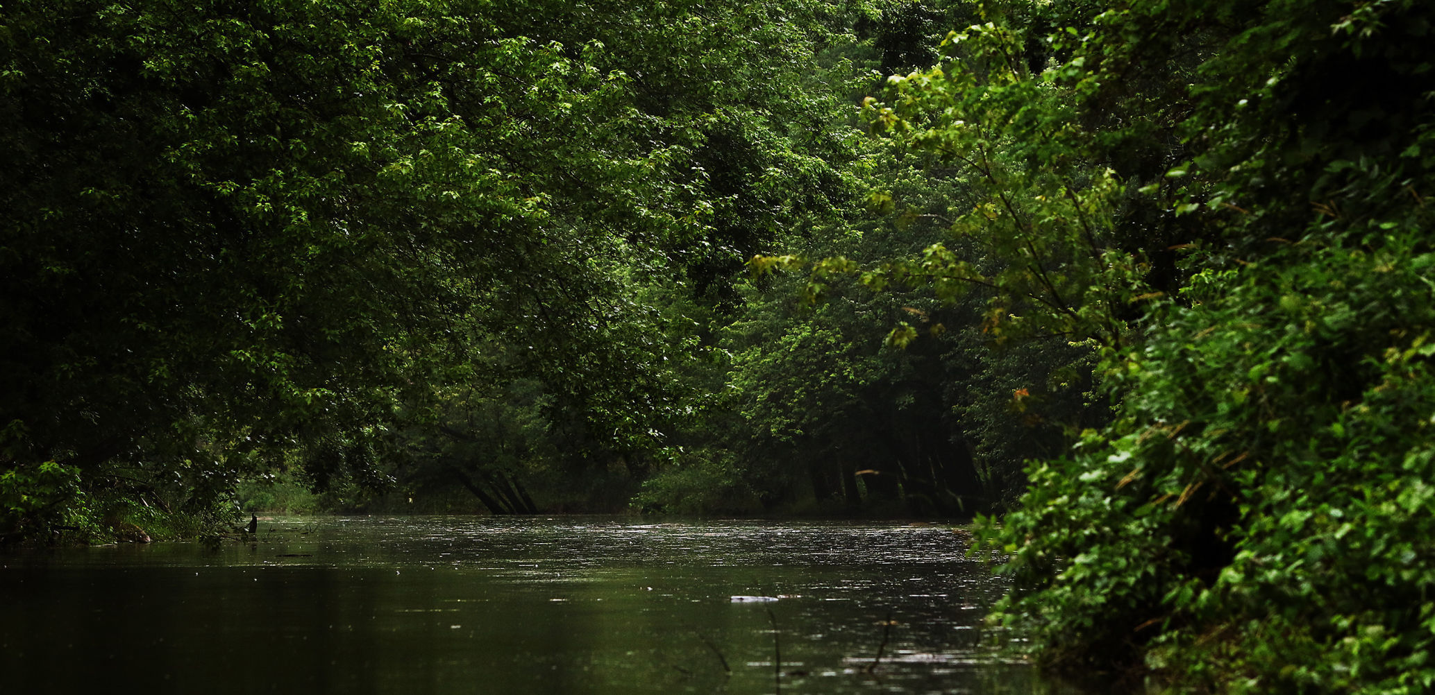 THE GREAT RIVER-0448